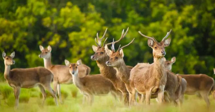 Heli-Carry _ en plein air