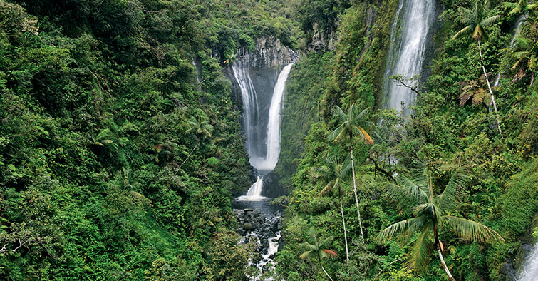 Coeur des cascades - Vallée de Takamaka, St Gilles