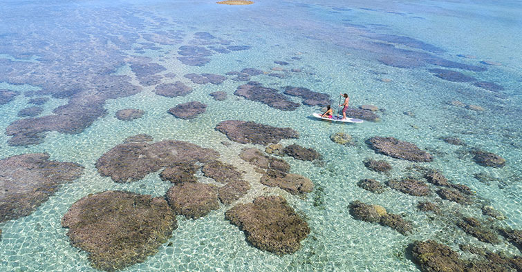 Excellence - Lagon, St Pierre